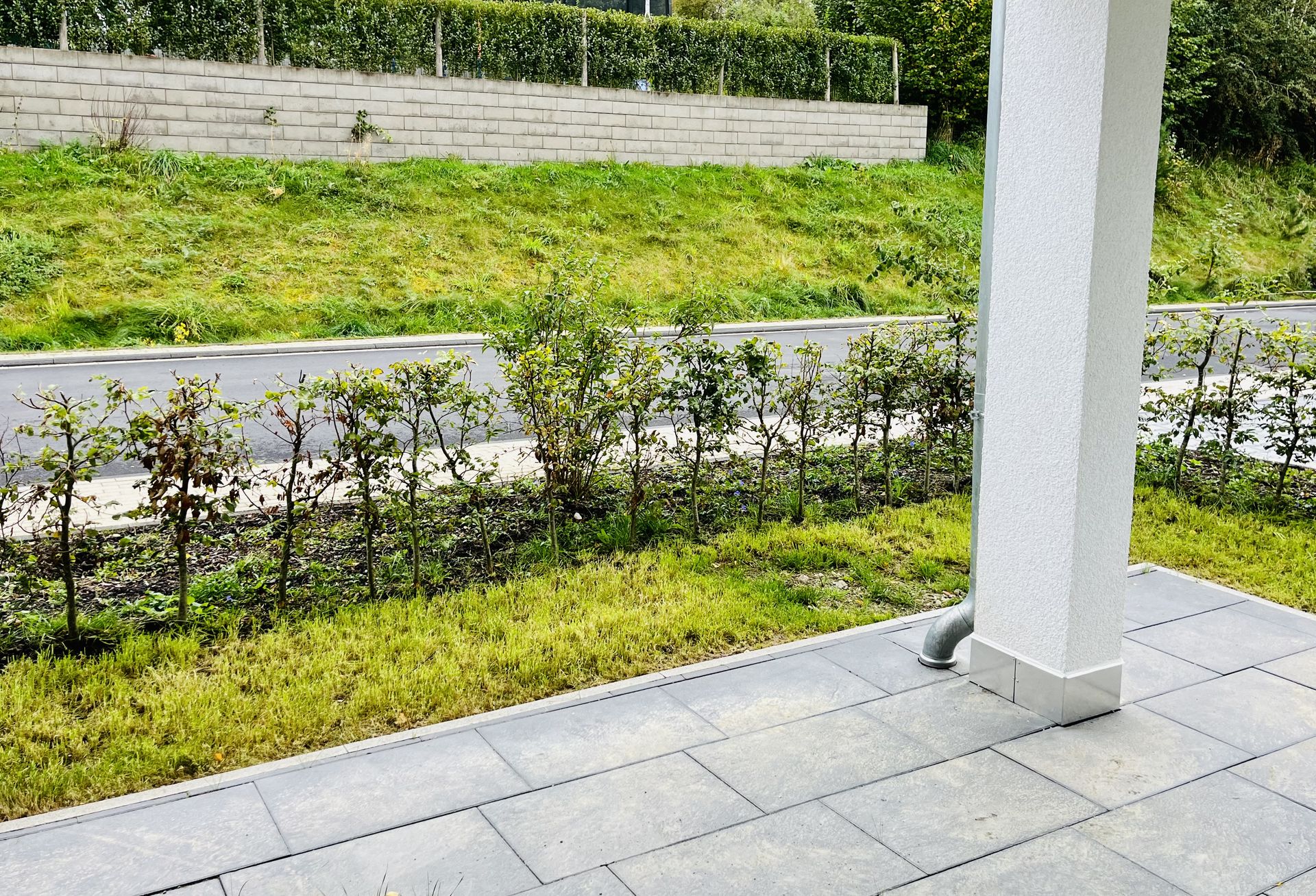 Würdinghausen: Exklusive Whg. mit Loggia und Fahrstuhl WARM zu vermieten!