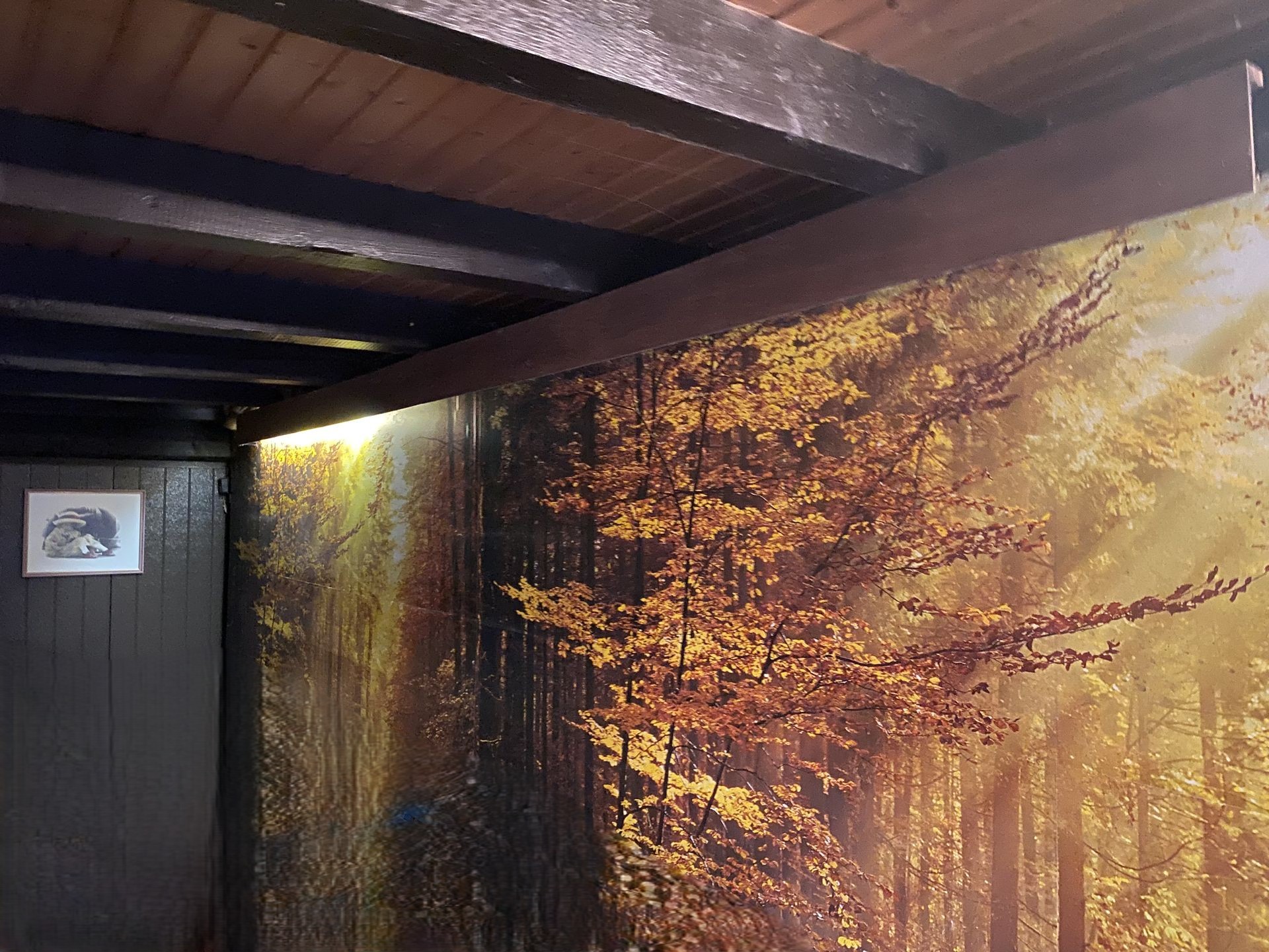 Rahrbach: Gartenhaus mit Kamin+Theke als Motorrad-Garage, Werkstatt, Hobby-, Probe-, Lagerraum...